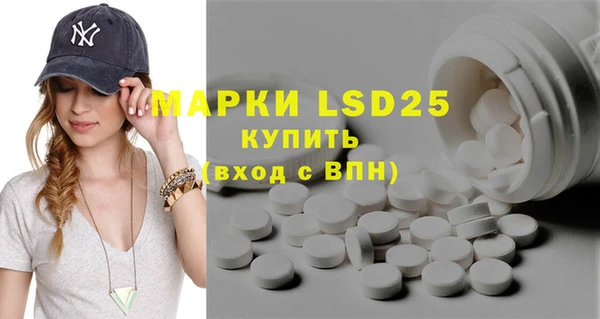 apvp Инта