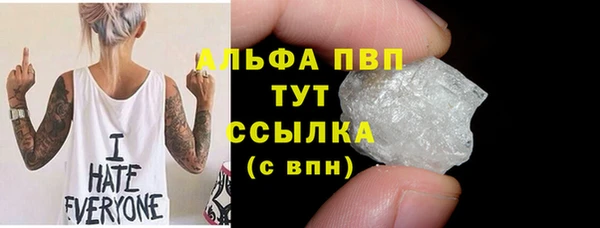 apvp Инта