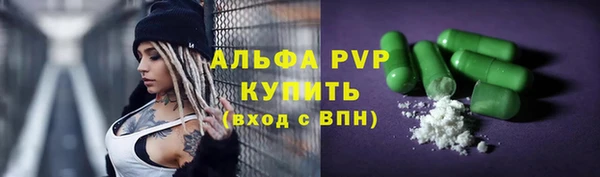 apvp Инта