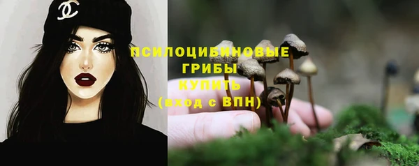 apvp Инта