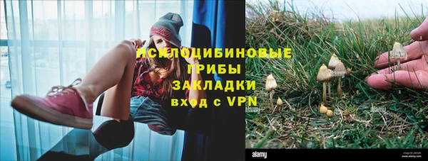 СК Иннополис