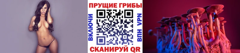 Галлюциногенные грибы Psilocybine cubensis  как найти закладки  Лабытнанги 